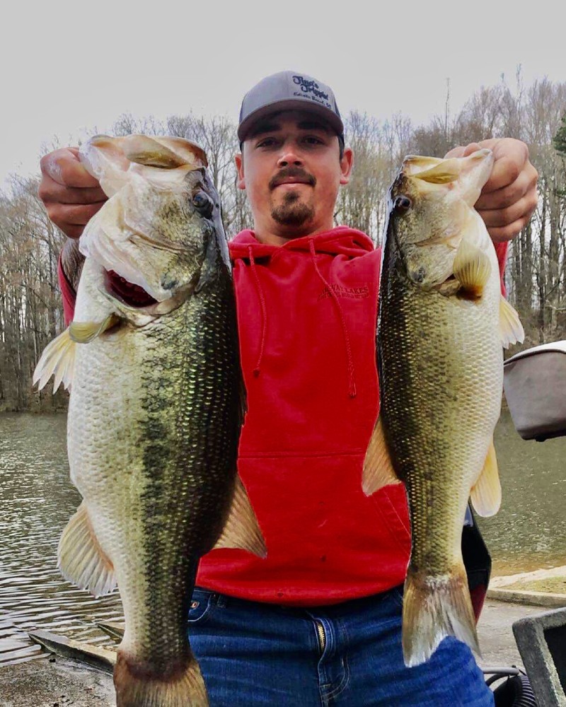 Bass - Lake Greenwood Fishing