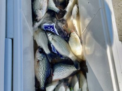 Lake Greenwood Fishing