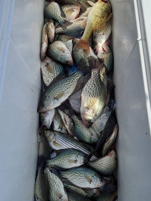 Lake Greenwood Crappie fishing