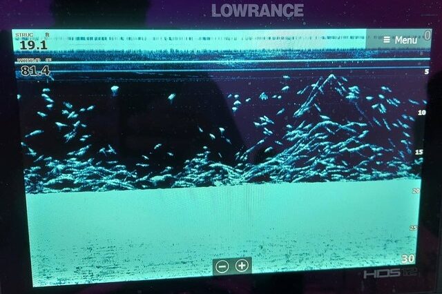 Lake Greenwood Crappie fishing