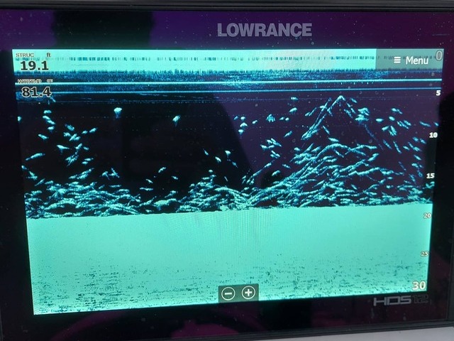 Lake Greenwood Crappie fishing