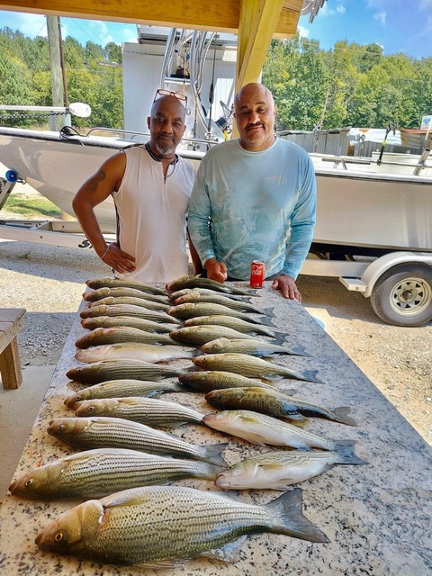 Lake greenwood fishing