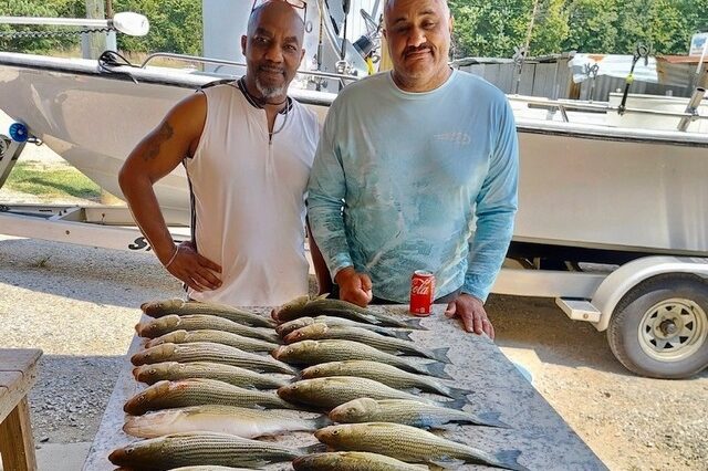Lake greenwood fishing