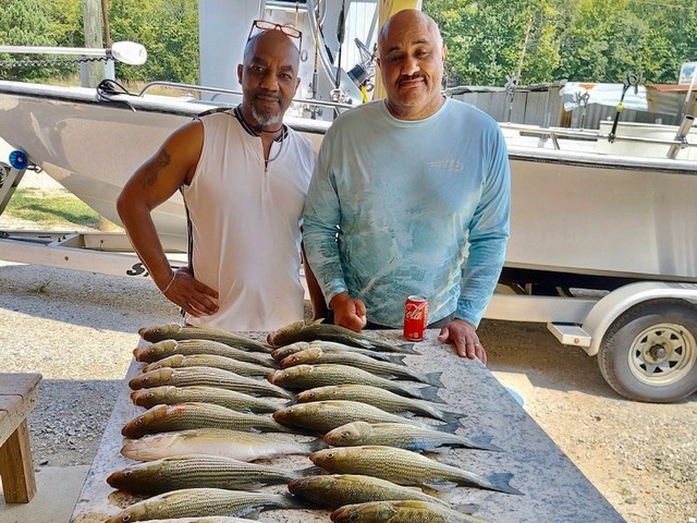 Lake greenwood fishing