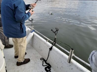 Lake greenwood fishing