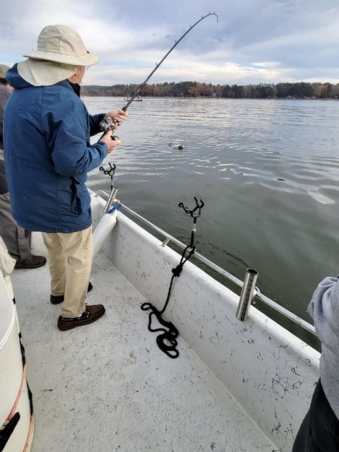 Lake greenwood fishing