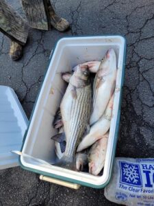 Lake Greenwood fishing