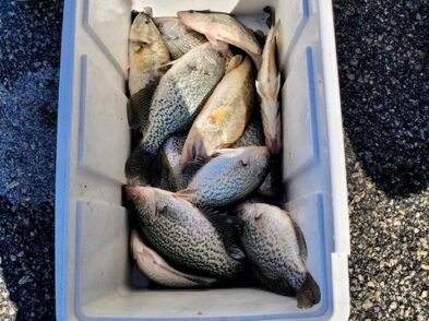 Lake Greenwood fishing