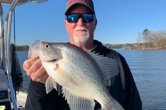 Lake Greenwood Crappie fishing