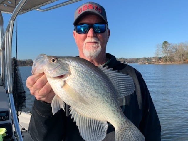 Lake Greenwood Crappie fishing