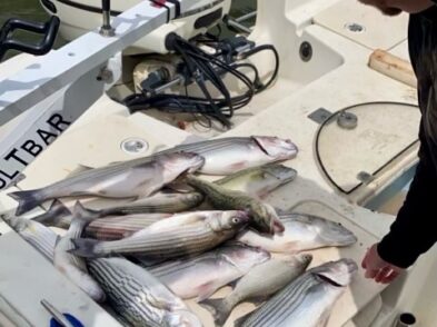 Lake Greenwood Fishing