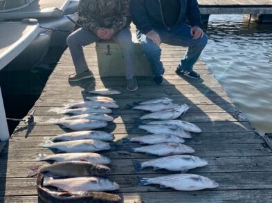Lake Greenwood fishing