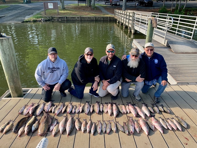 Lake Greenwood fishing