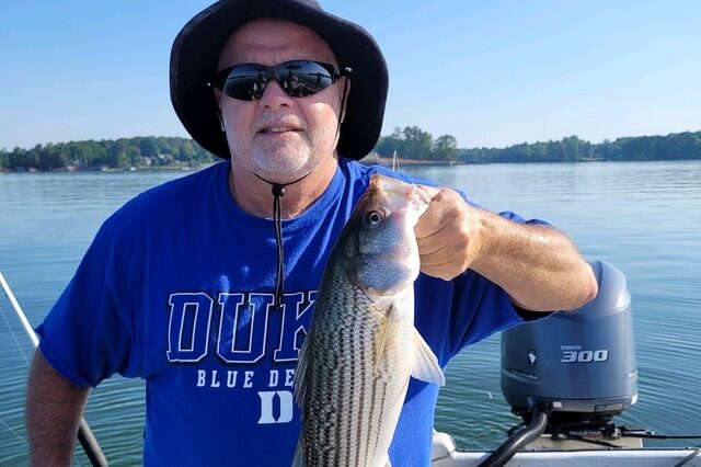 Lake Greenwood Striper fishing