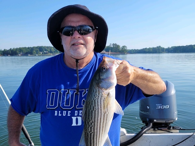 Lake Greenwood Striper fishing