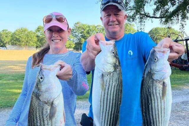 Lake Greenwood fishing