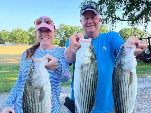 Lake Greenwood fishing