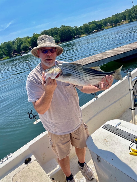 Lake Greenwood fishing