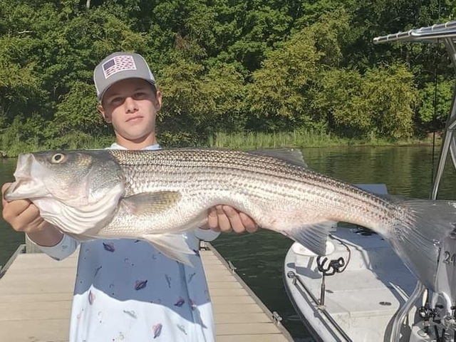 Lake Greenwood fishing