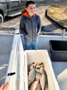 Lake Greenwood fishing