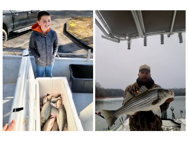 Lake Greenwood fishing