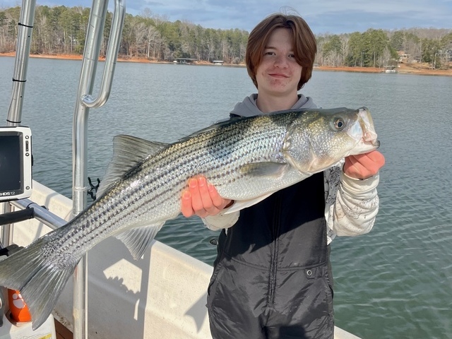 Lake Greenwood fishing