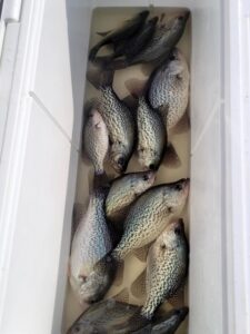 Lake Greenwood Crappie fishing