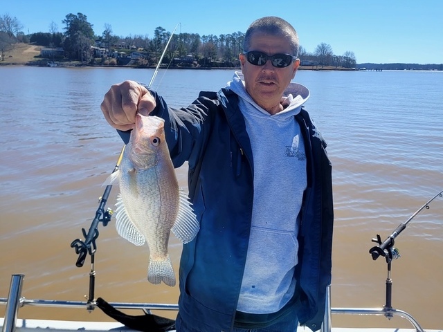 Lake Greenwood Crappie fishing