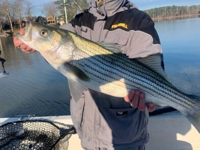 Lake greenwood fishing