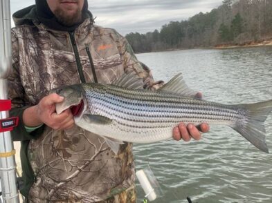 Lake greenwood fishing