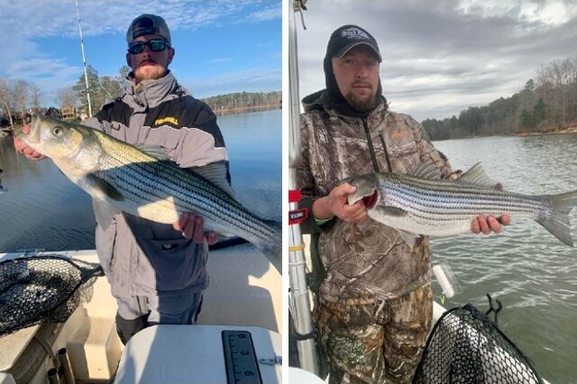 Lake greenwood fishing