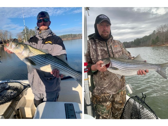 Lake greenwood fishing