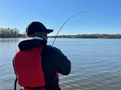 Lake Greenwood fishing