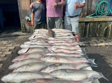 Lake Greenwood Striper Fishing