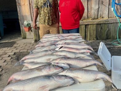 Lake Greenwood Striper Fishing
