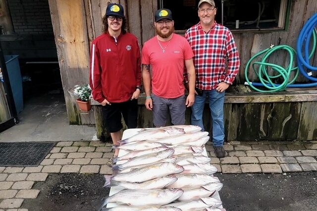 Lake Greenwood Striper fishing