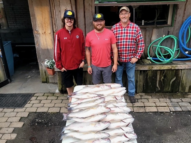 Lake Greenwood Striper fishing