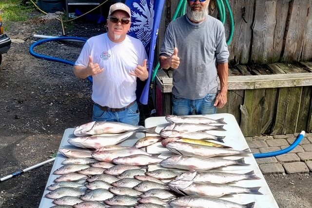 Lake Greenwood fishing