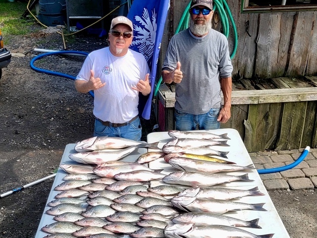 Lake Greenwood fishing