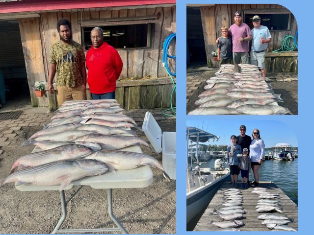 Lake Greenwood Striper Fishing
