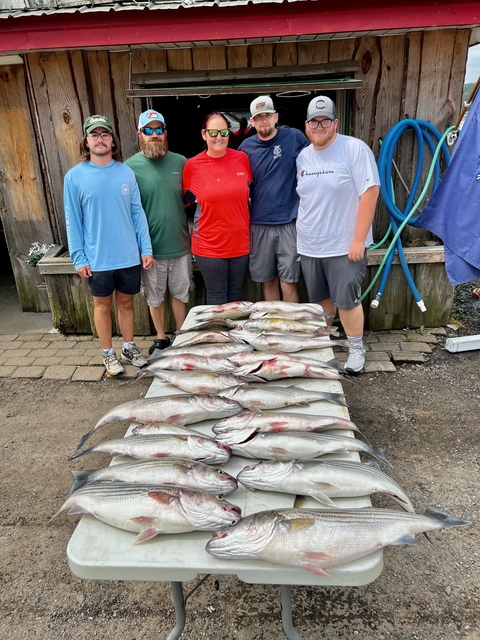 Lake Greenwood fishing