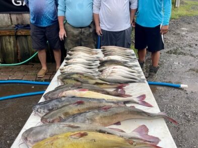 Lake Greenwood fishing