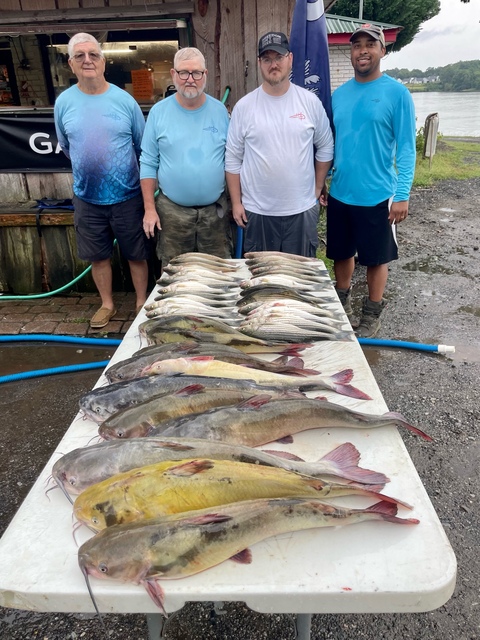 Lake Greenwood fishing