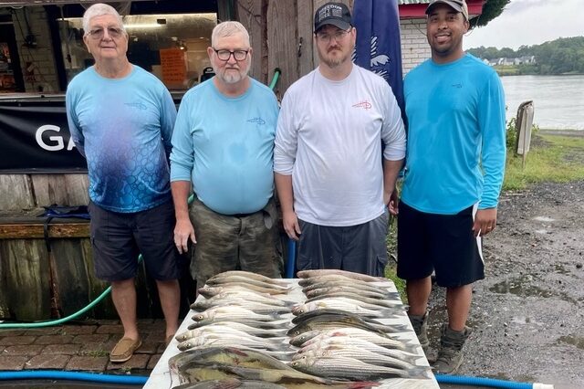 Lake Greenwood fishing