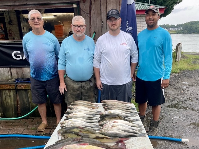Lake Greenwood fishing