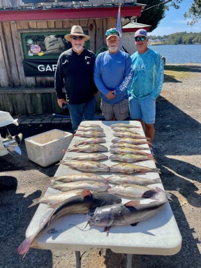 Lake Greenwood fishing