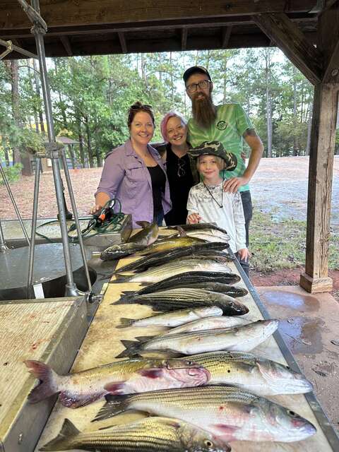 Lake Greenwood fishing