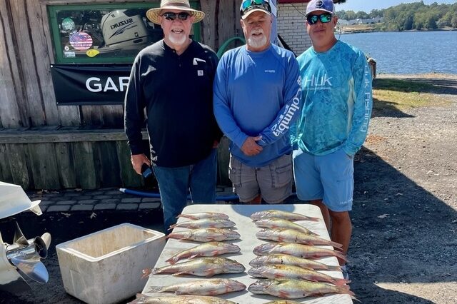 Lake Greenwood fishing