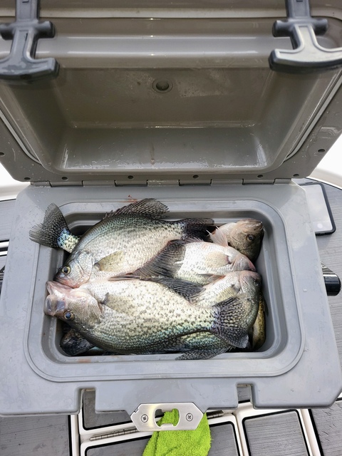 Lake Greenwood Crappie fishing