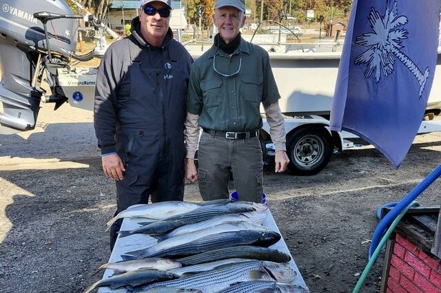 Lake Greenwood fishing